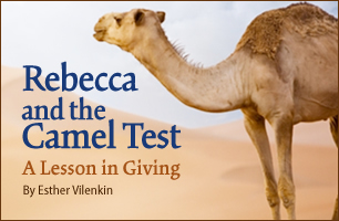 Rebecca and the Camel Test